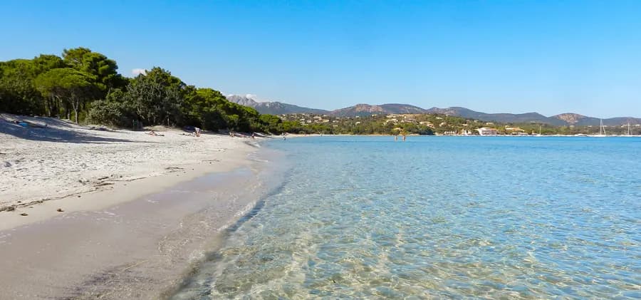 Camping La Vetta — Camping vanlife à Bastelicaccia, Corse