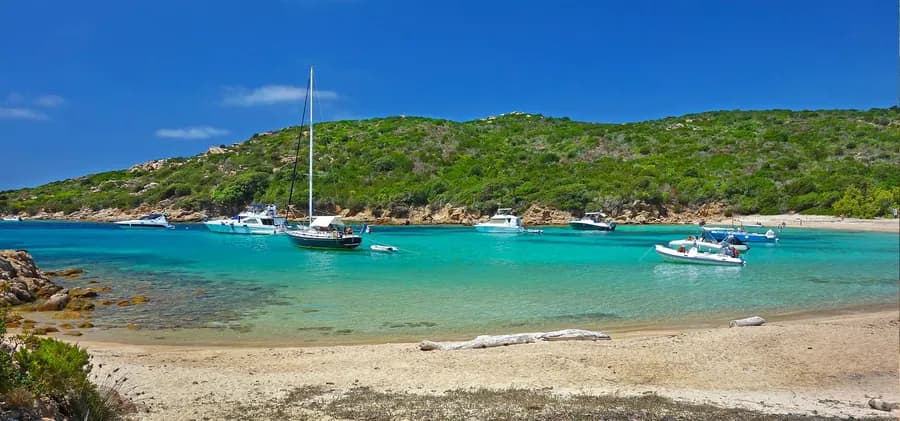 Camping Olva — Camping vanlife à Ajaccio, Corse