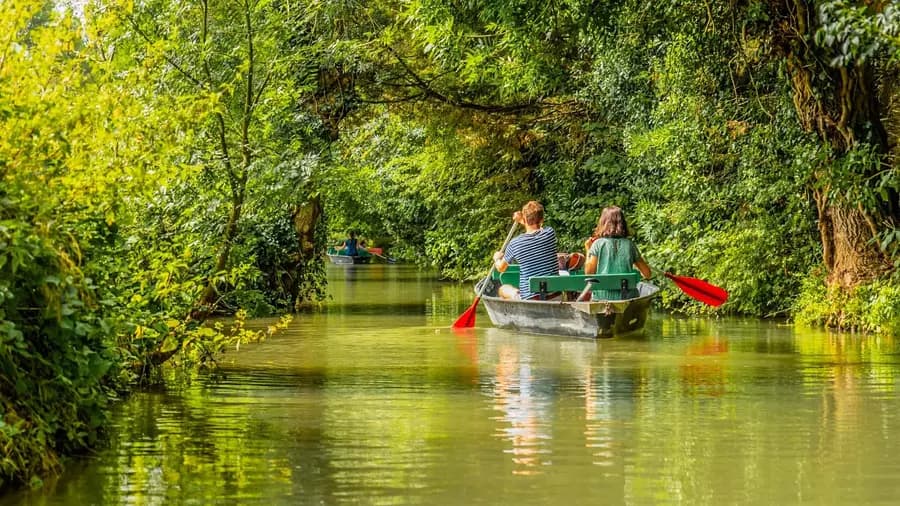 Camping Le Marais Sauvage — Camping vanlife à Saint-Hilaire-la-Palud, Nouvelle-Aquitaine