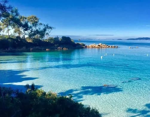 Camping La Vallée — Camping vanlife à Saint-Rémy-de-Provence, Provence-Alpes-Côte d'Azur