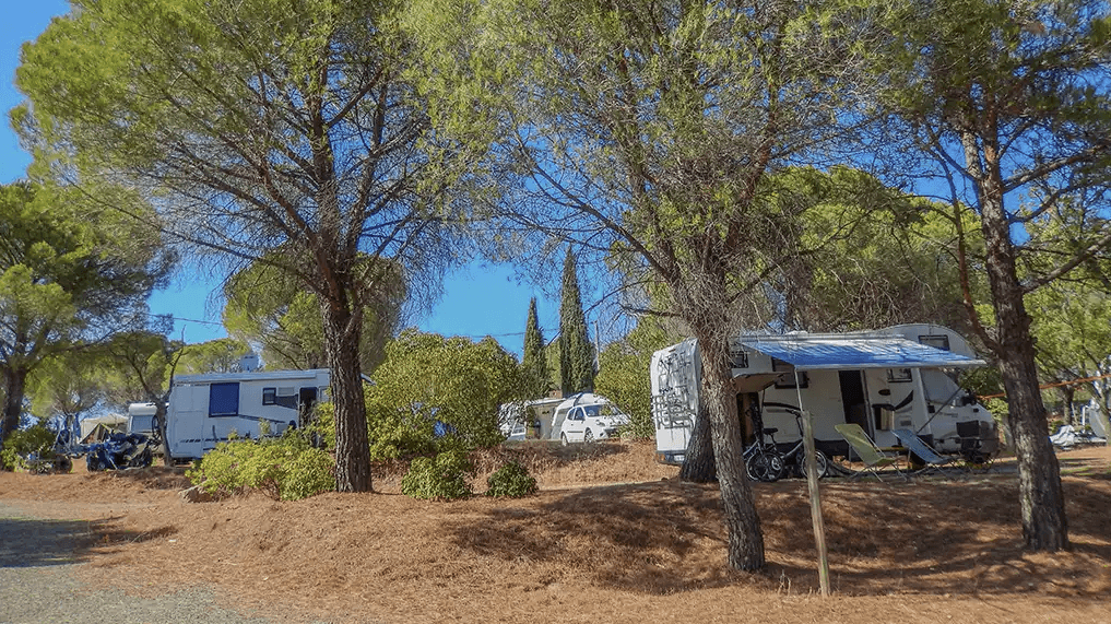 Camping Les Terrasses — photo 3