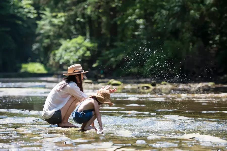 Camping La Prade — Camping vanlife à Aniane, Occitanie