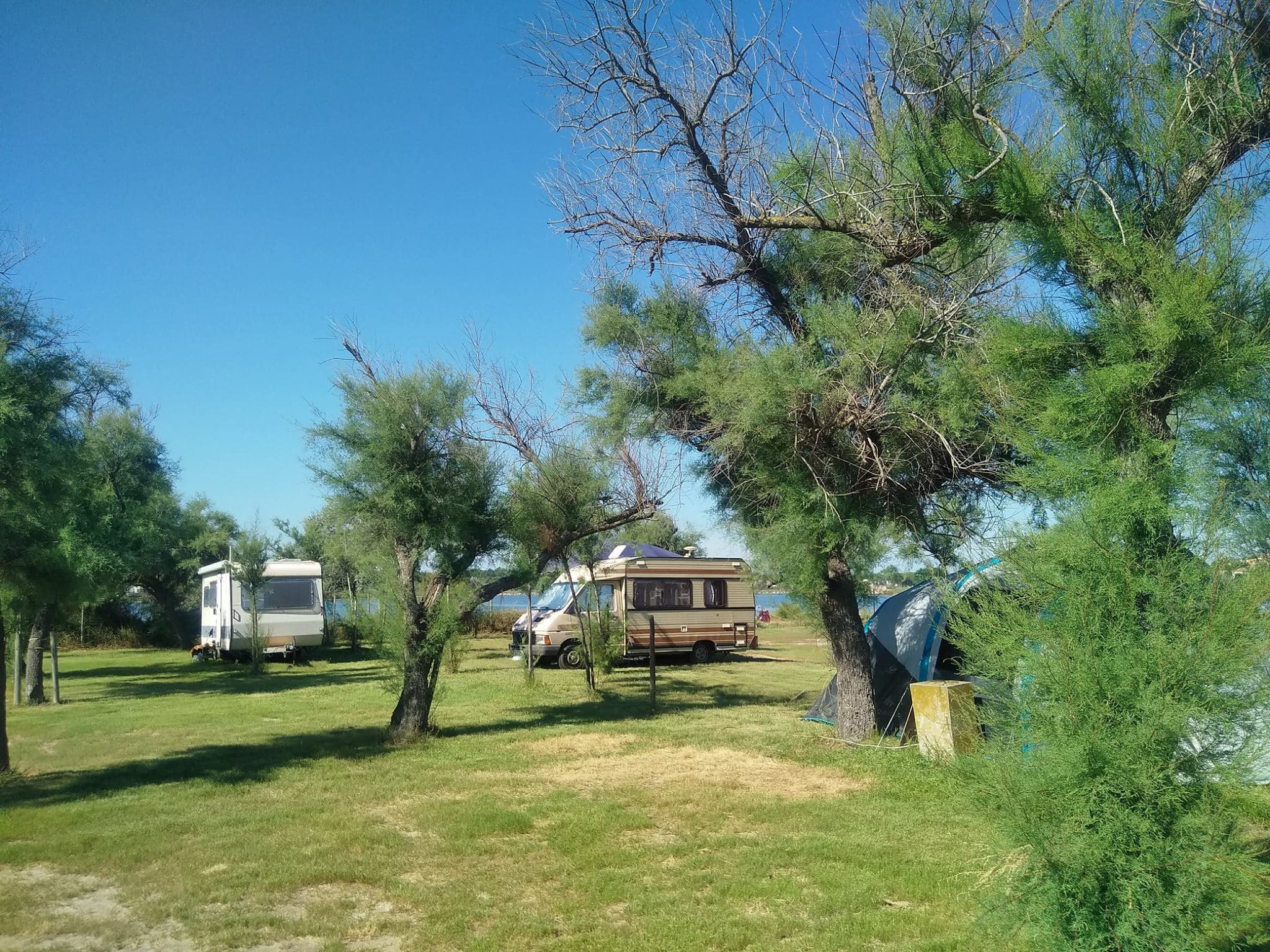 Pourquoi Label Vanlife existe : l'histoire derrière le réseau